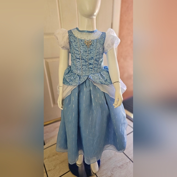 Disney cinderella dress - Picture 1 of 10